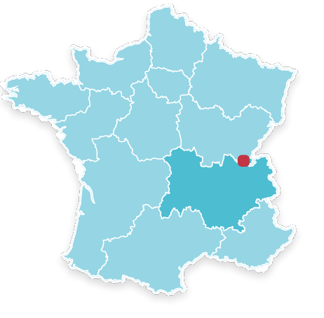 01100 Oyonnax